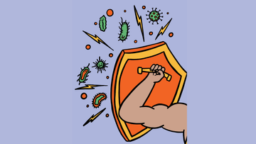 Beta-Glucan Explained: The Science of Immunity Training & Resilience